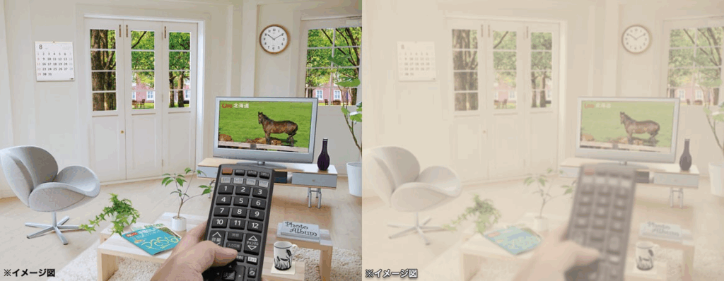 健康な目の視界と白内障の目の見え方