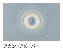 アカウントアメーバー