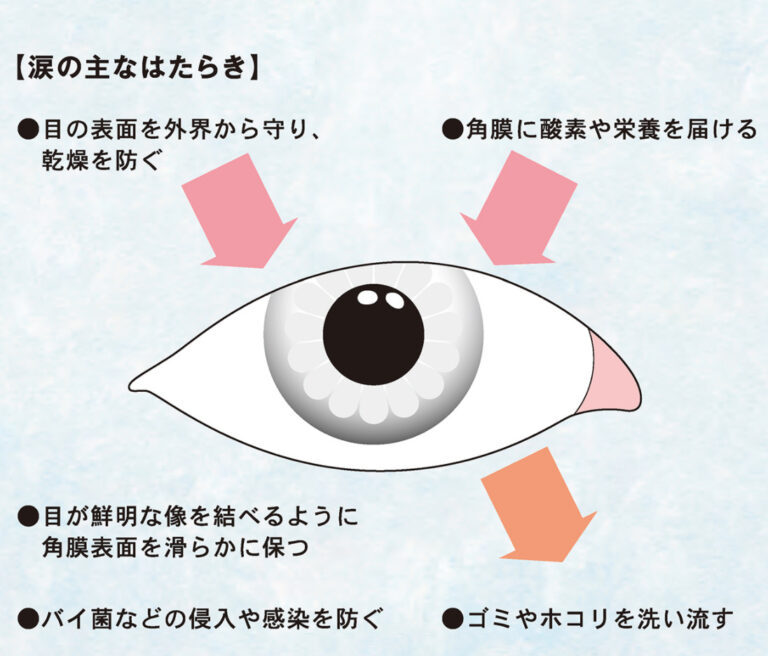 涙のはたらき