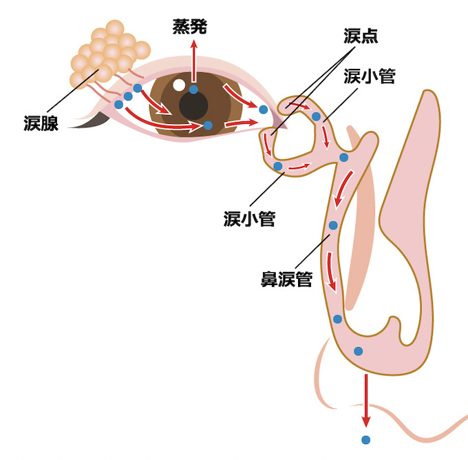 涙の病気について